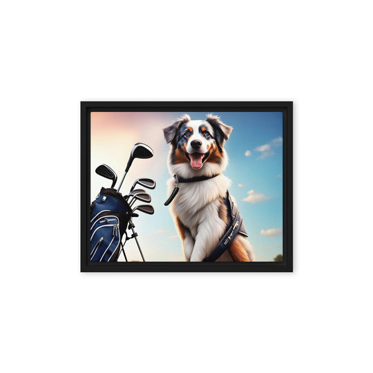 Australian Shepherd Golfer- Framed canvas