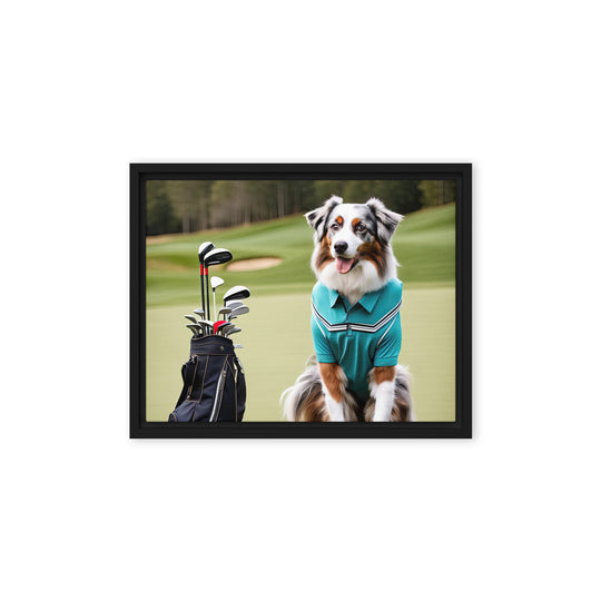 Australian Shepherd Golfer- Framed canvas v4