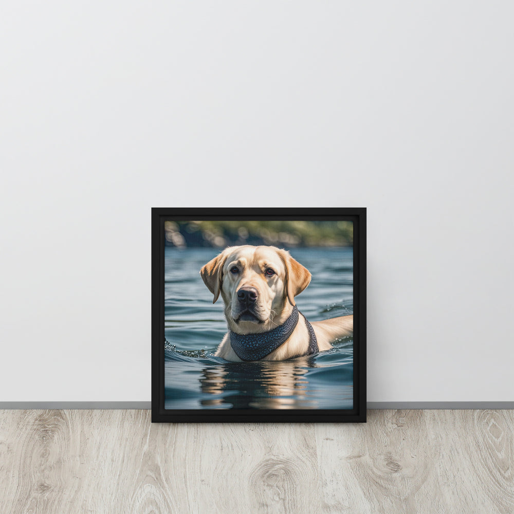 Framed canvas-Labrador Retriever V3