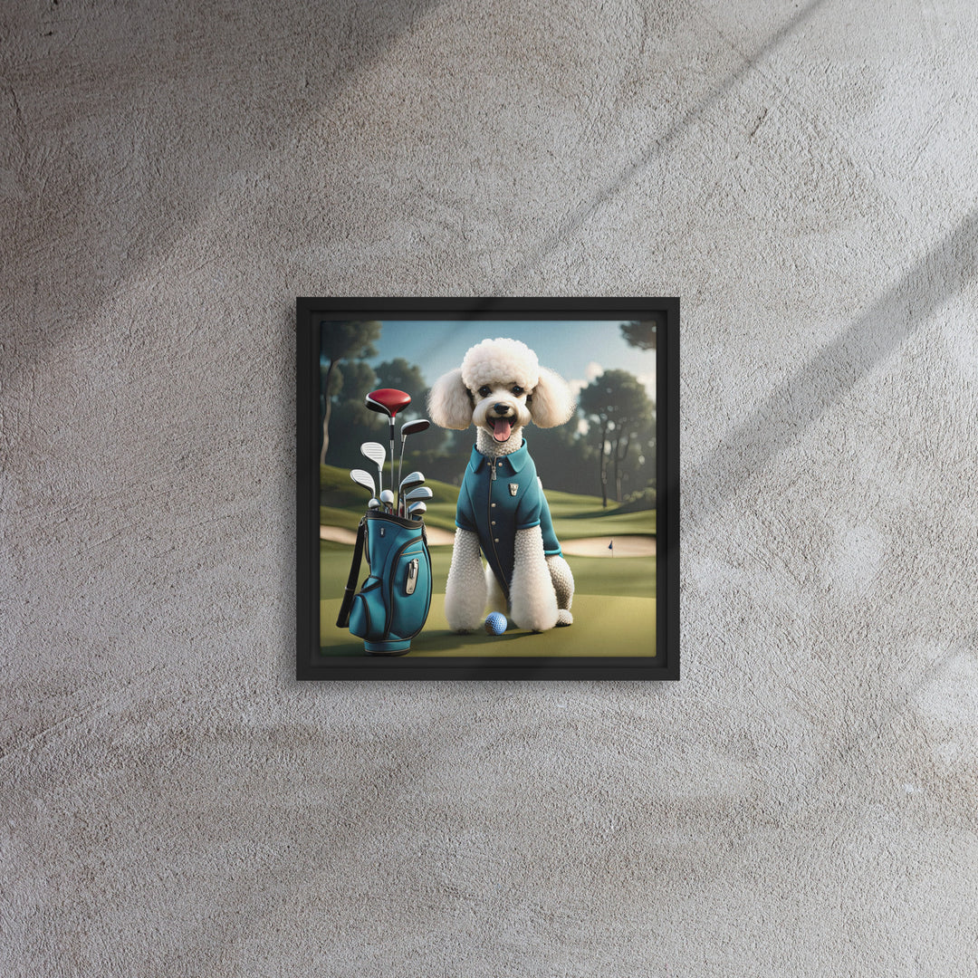 Poodle Golfer- Framed canvas