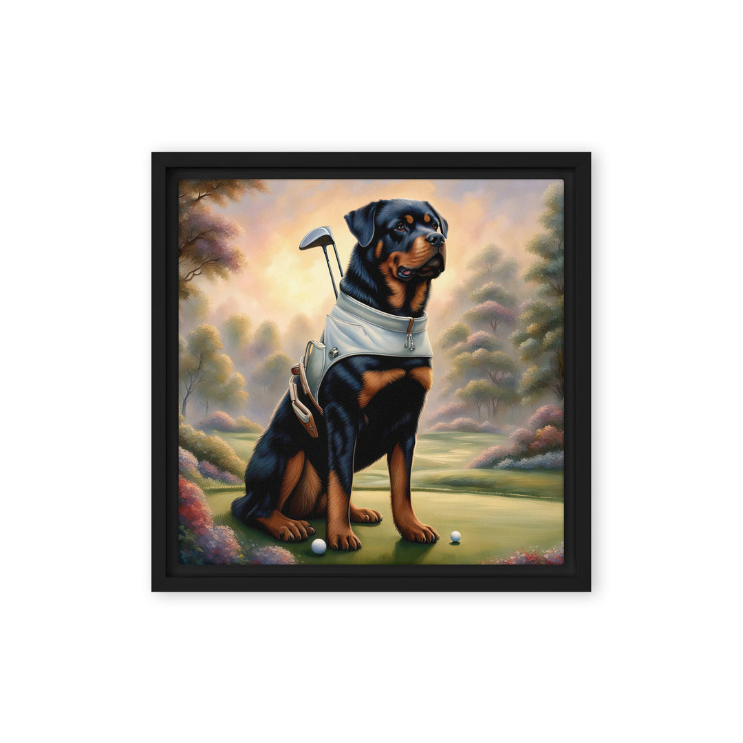 Rottweiler Golfer- Framed canvas v2