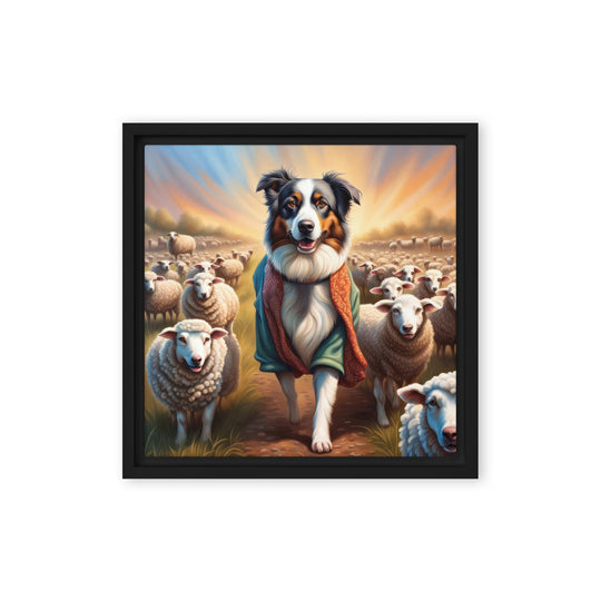 Australian Shepherd- Framed canvas