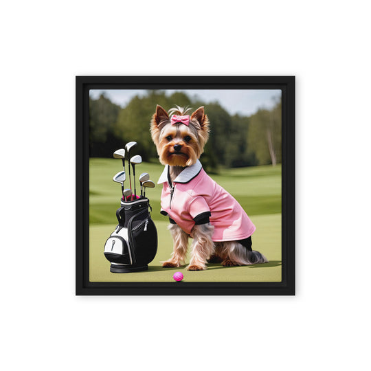 Yorkshire Terrier Golfer- Framed canvas v2