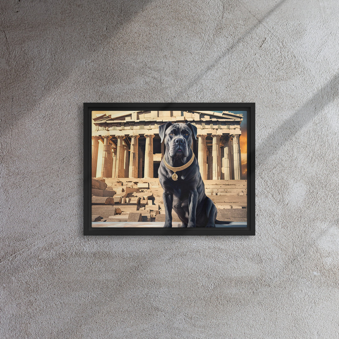 Framed canvas-Cane Corso