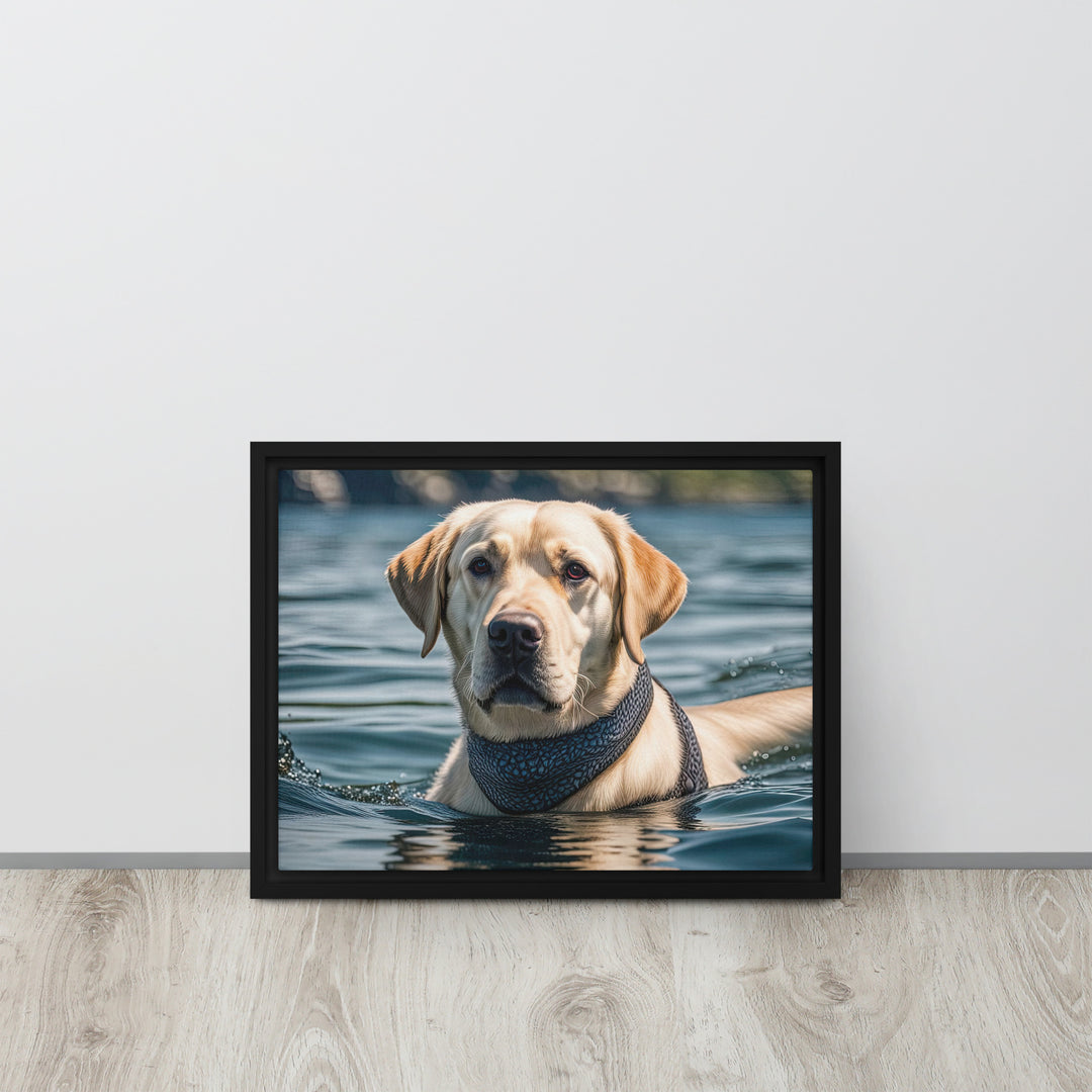 Framed canvas-Labrador Retriever V3