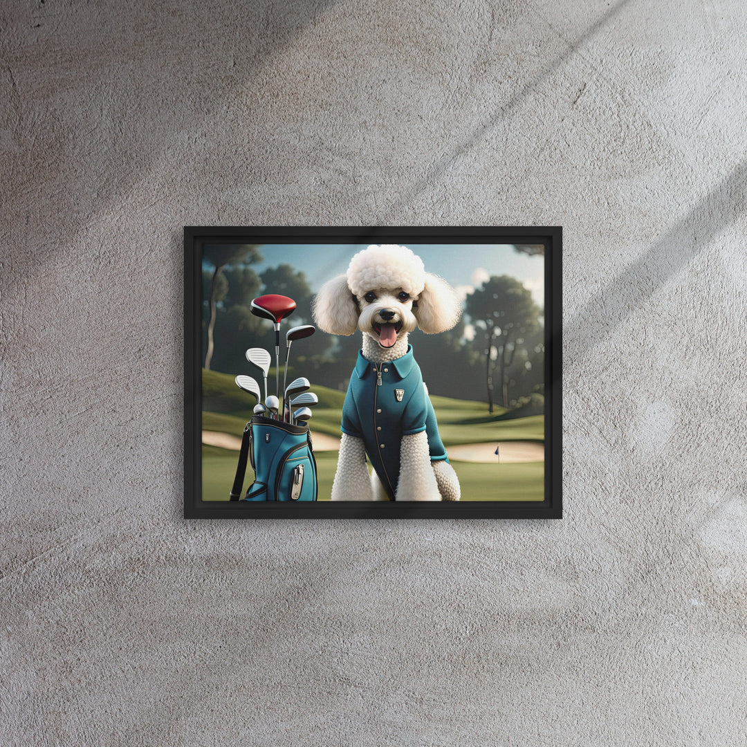 Poodle Golfer- Framed canvas