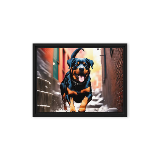 Rottweiler- Framed canvas v2