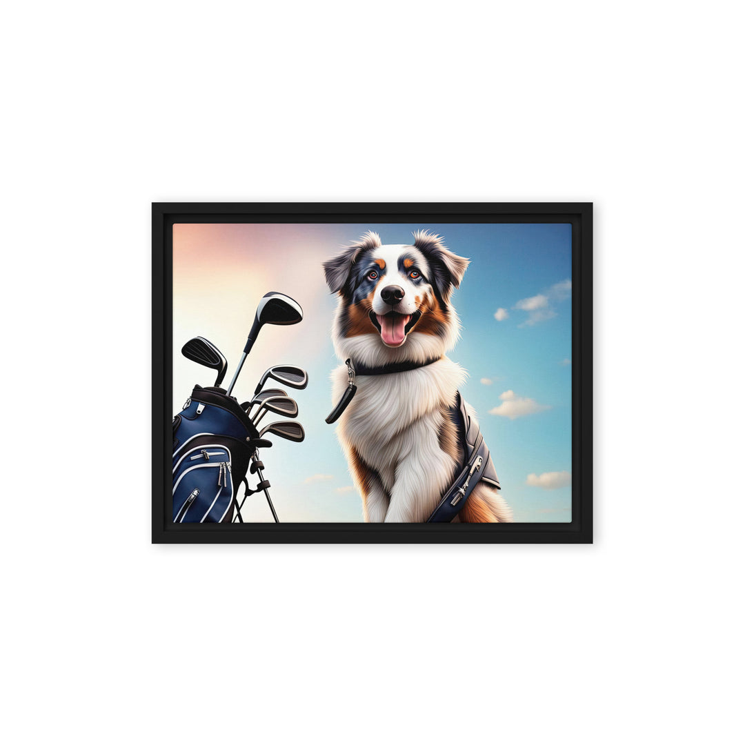 Australian Shepherd Golfer- Framed canvas