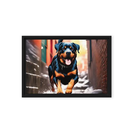 Rottweiler- Framed canvas v2