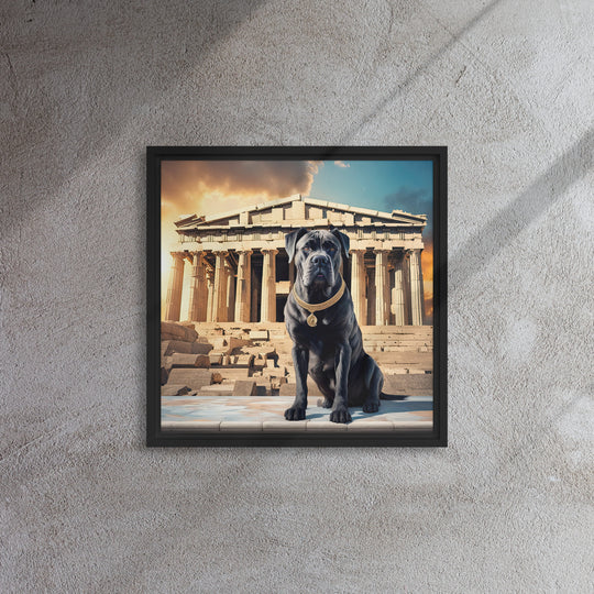 Framed canvas-Cane Corso