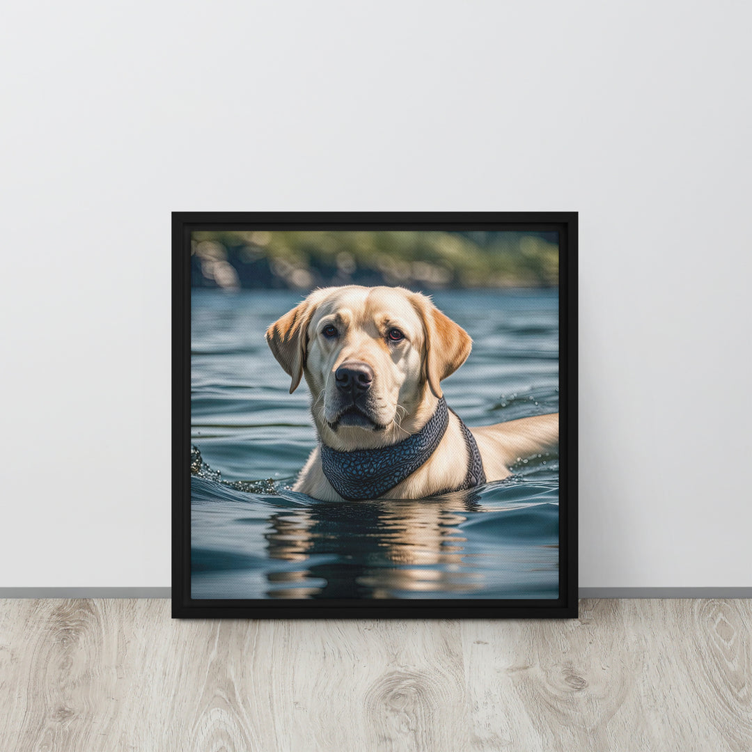 Framed canvas-Labrador Retriever V3