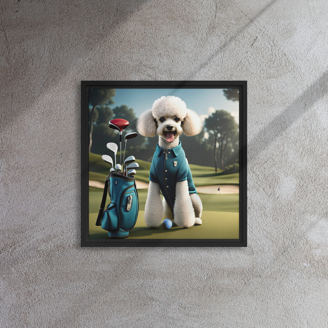 Poodle Golfer- Framed canvas
