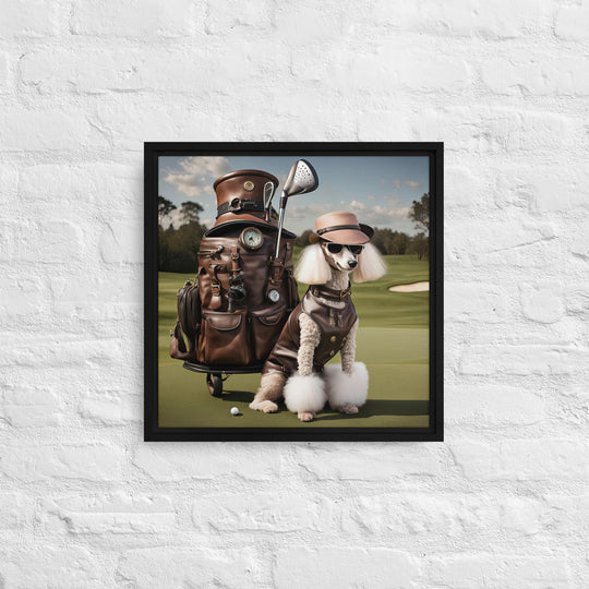 Poodle Golfer- Framed canvas v3