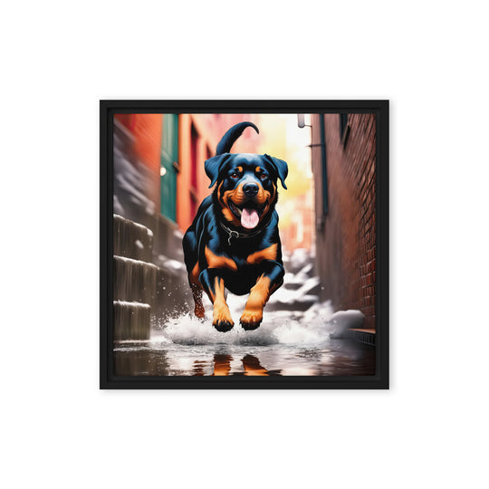 Rottweiler- Framed canvas v2