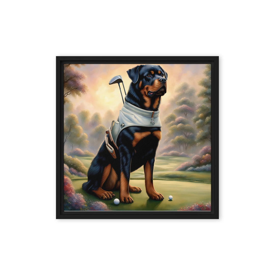 Rottweiler Golfer- Framed canvas v2