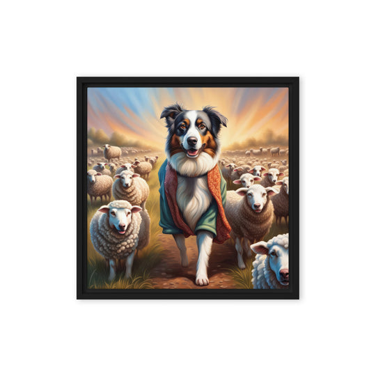 Australian Shepherd- Framed canvas