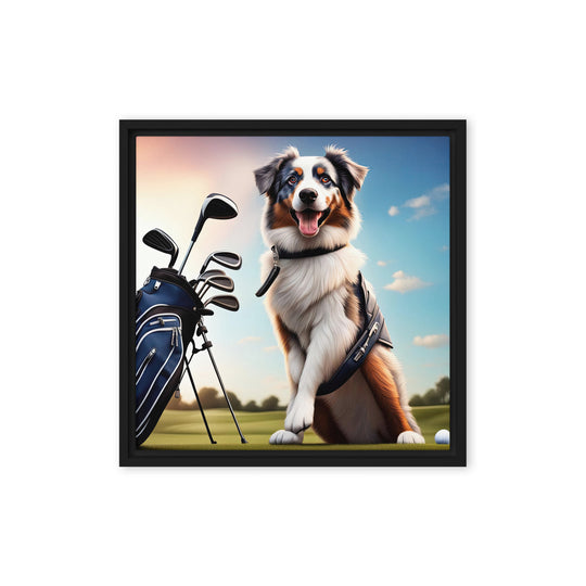 Australian Shepherd Golfer- Framed canvas