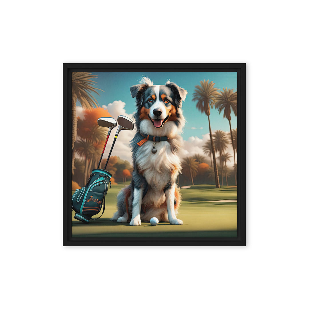 Australian Shepherd Golfer- Framed canvas v2