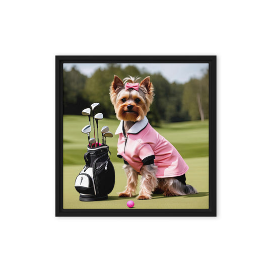 Yorkshire Terrier Golfer- Framed canvas v2