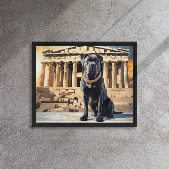 Framed canvas-Cane Corso