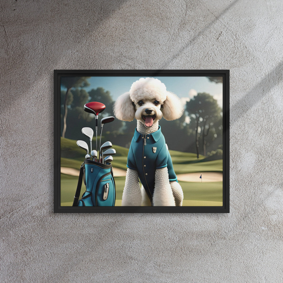 Poodle Golfer- Framed canvas