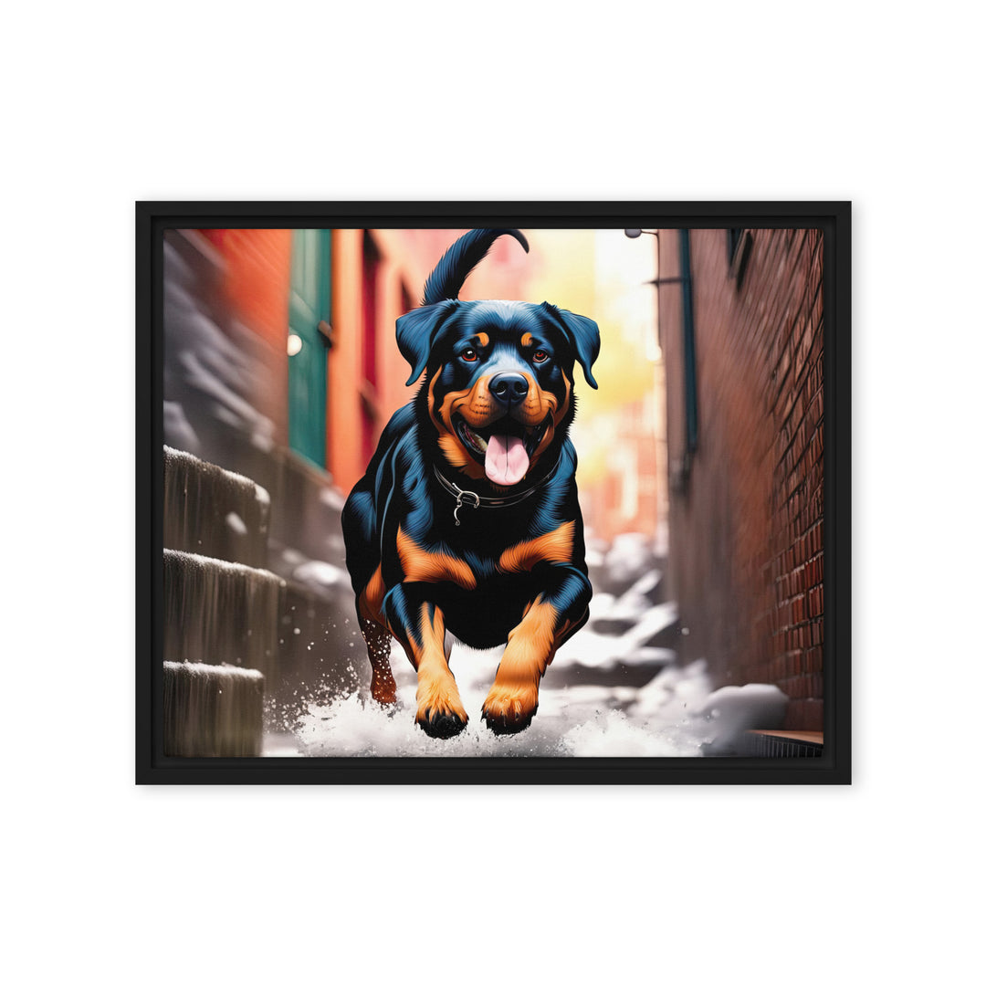 Rottweiler- Framed canvas v2