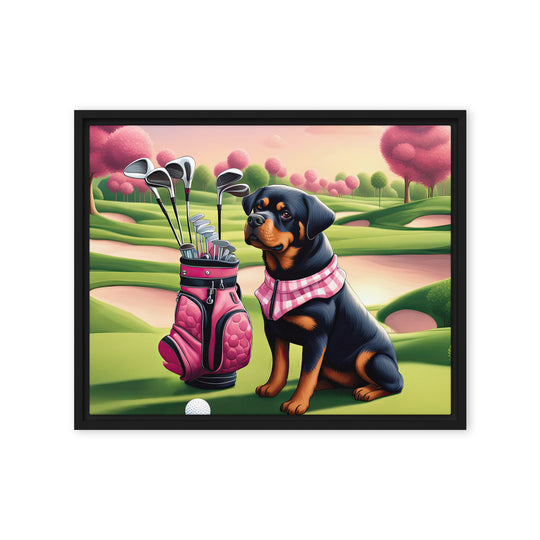 Rottweiler Golfer- Framed canvas