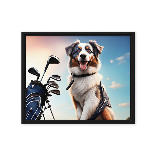 Australian Shepherd Golfer- Framed canvas