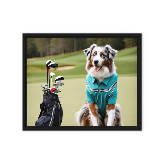 Australian Shepherd Golfer- Framed canvas v4