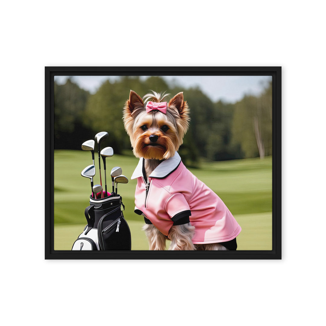 Yorkshire Terrier Golfer- Framed canvas v2