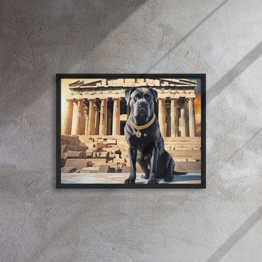 Framed canvas-Cane Corso