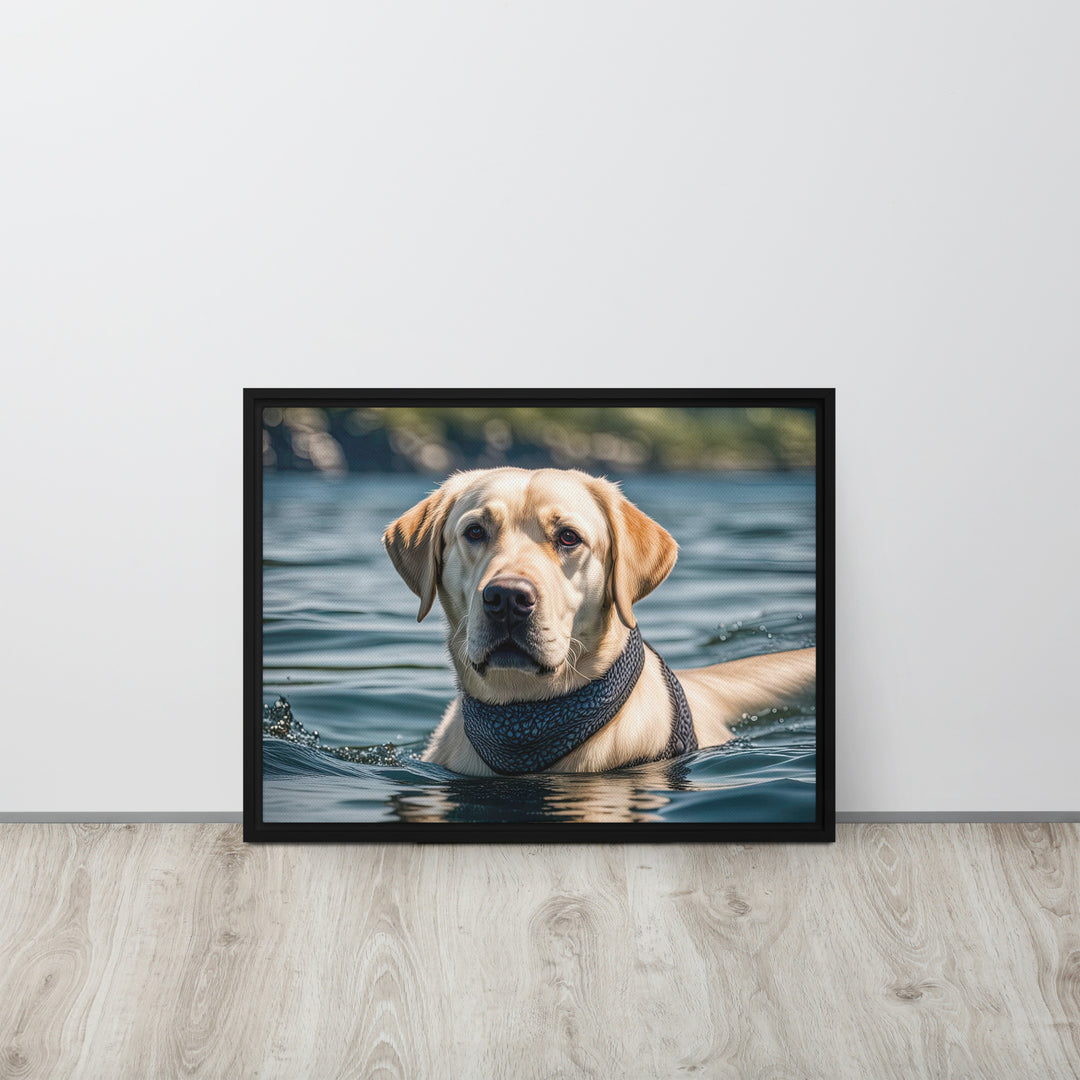 Framed canvas-Labrador Retriever V3