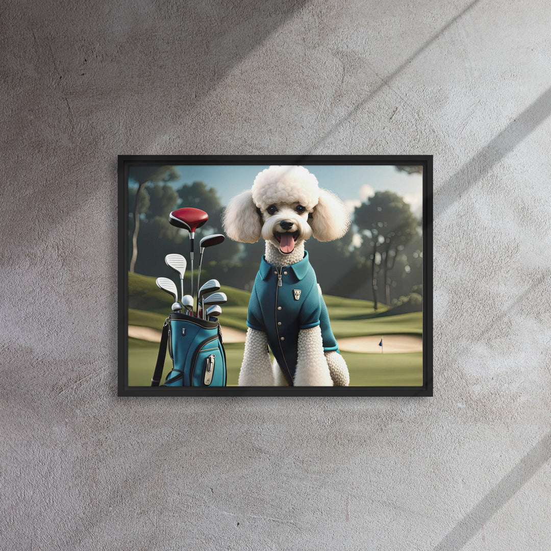 Poodle Golfer- Framed canvas