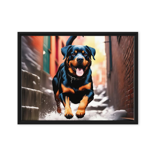 Rottweiler- Framed canvas v2