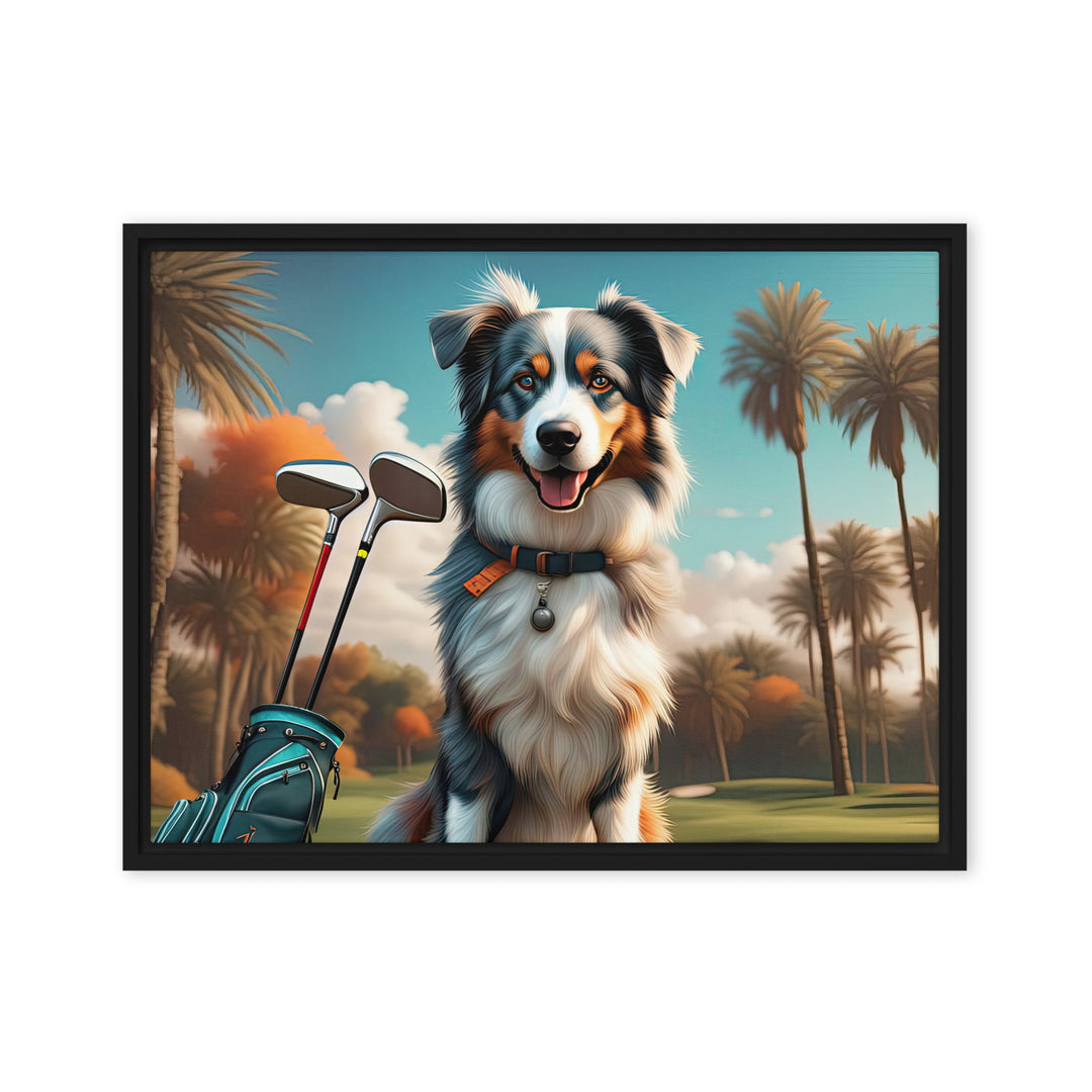 Australian Shepherd Golfer- Framed canvas v2