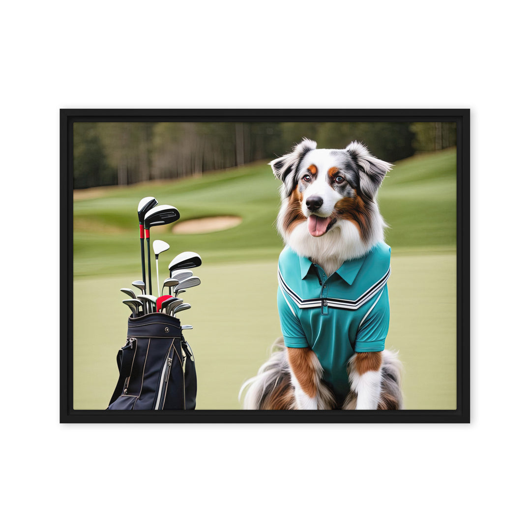 Australian Shepherd Golfer- Framed canvas v4