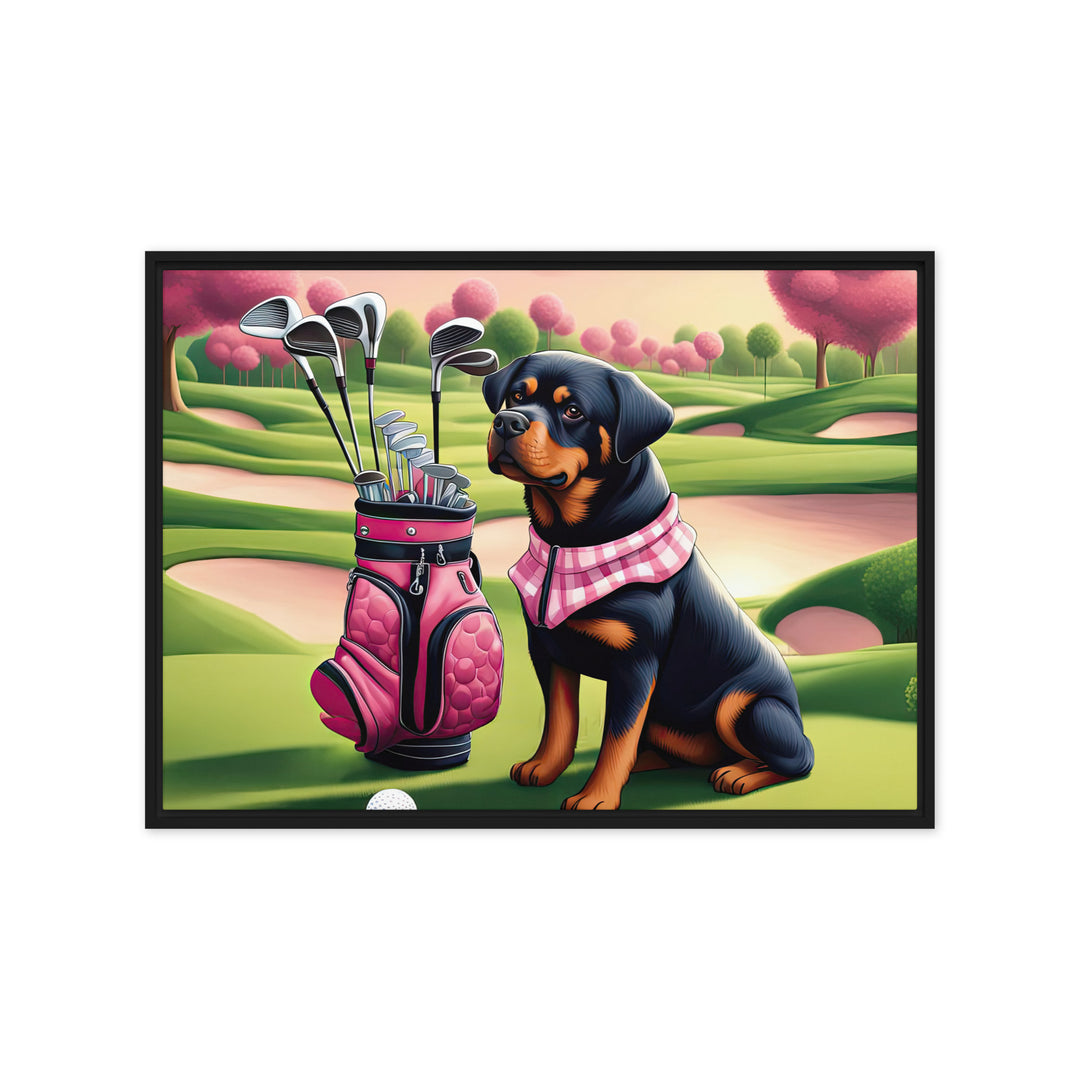 Rottweiler Golfer- Framed canvas