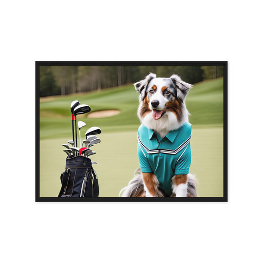 Australian Shepherd Golfer- Framed canvas v4