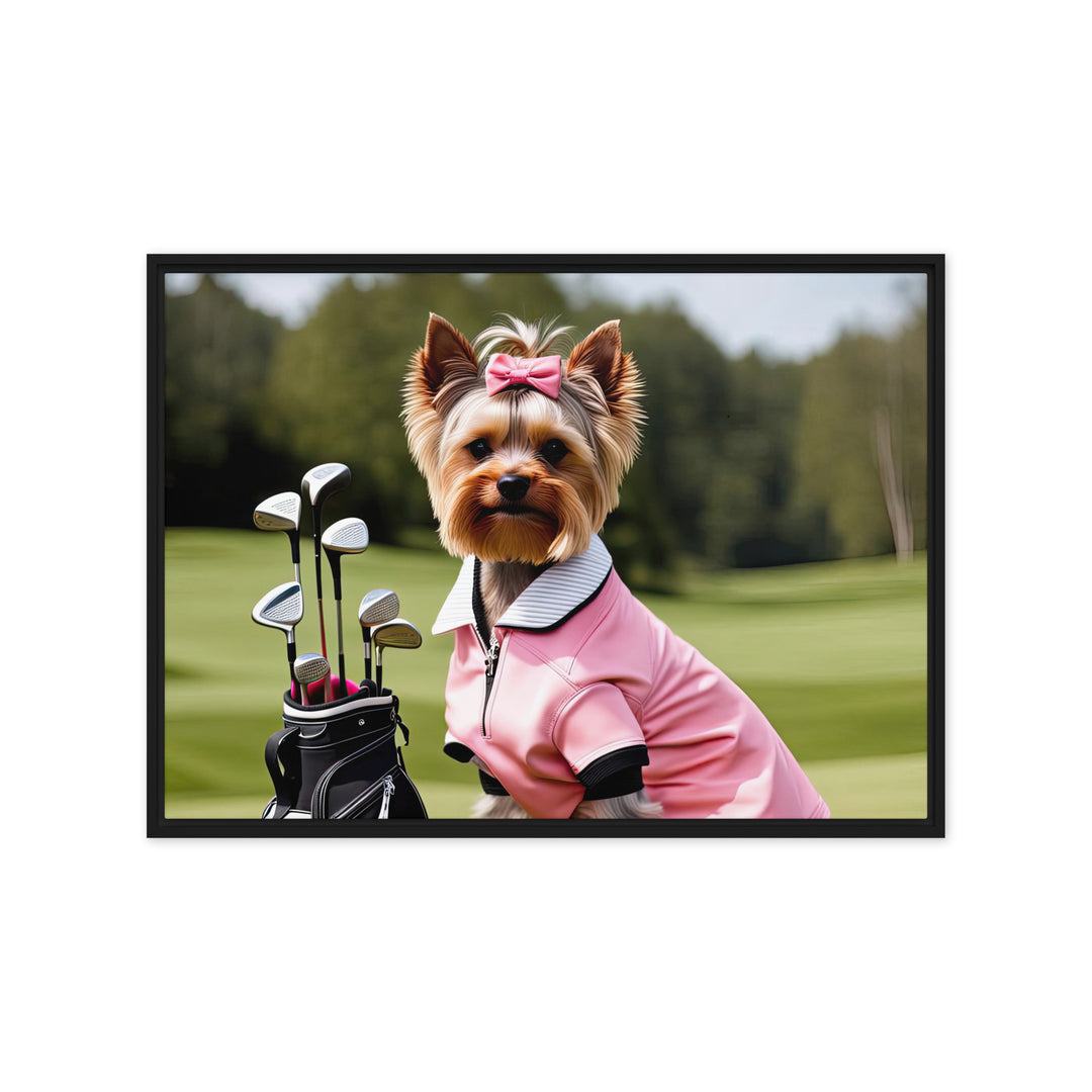 Yorkshire Terrier Golfer- Framed canvas v2