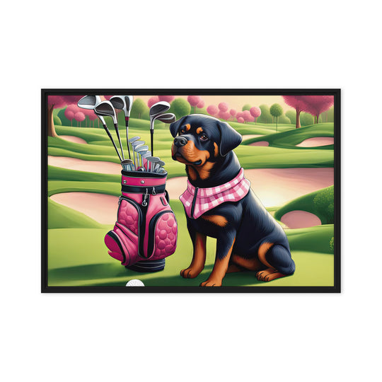 Rottweiler Golfer- Framed canvas