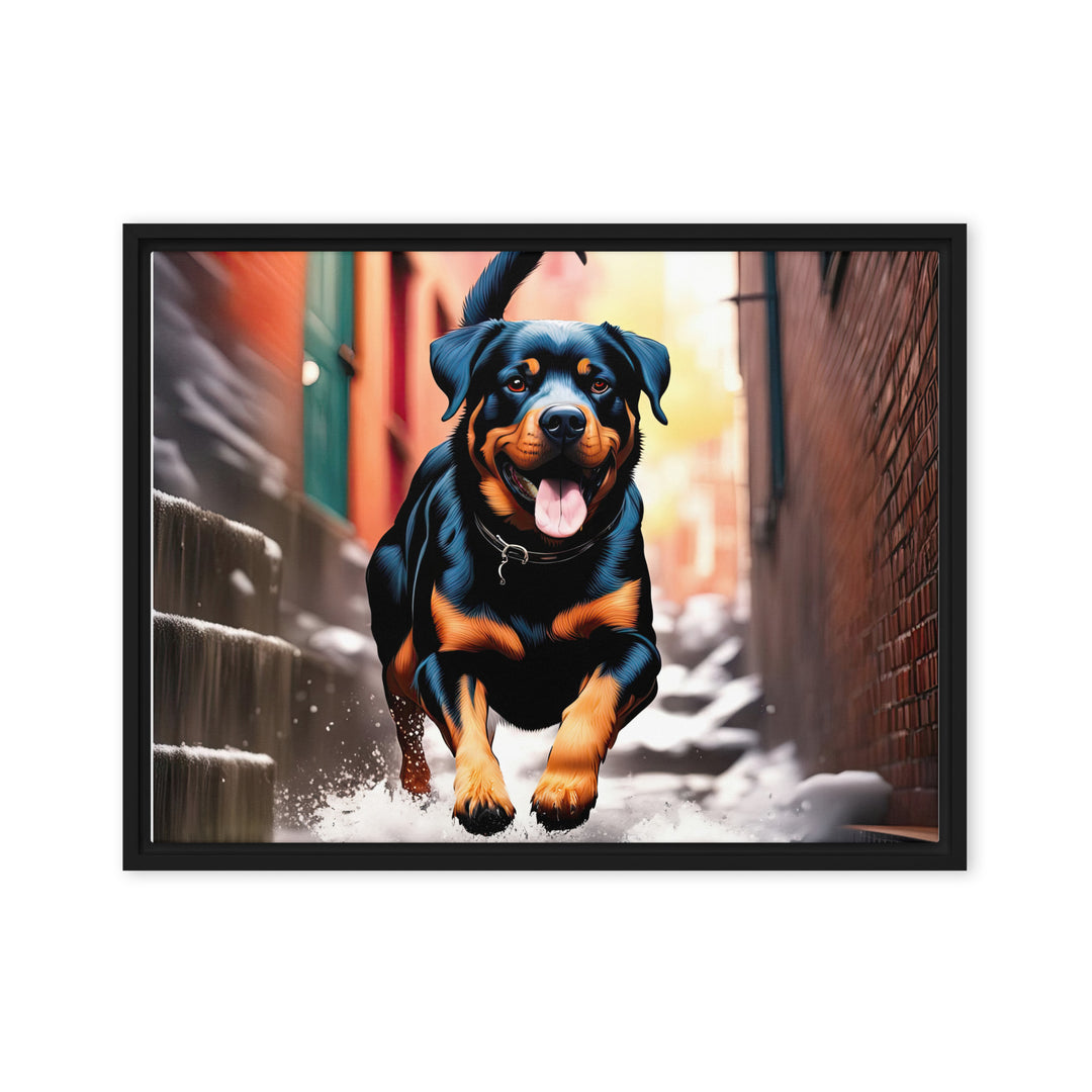 Rottweiler- Framed canvas v2