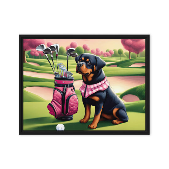 Rottweiler Golfer- Framed canvas