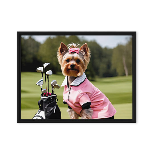 Yorkshire Terrier Golfer- Framed canvas v2