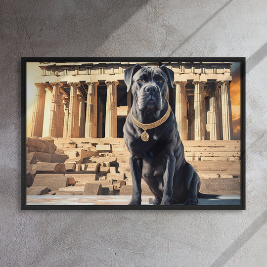 Framed canvas-Cane Corso