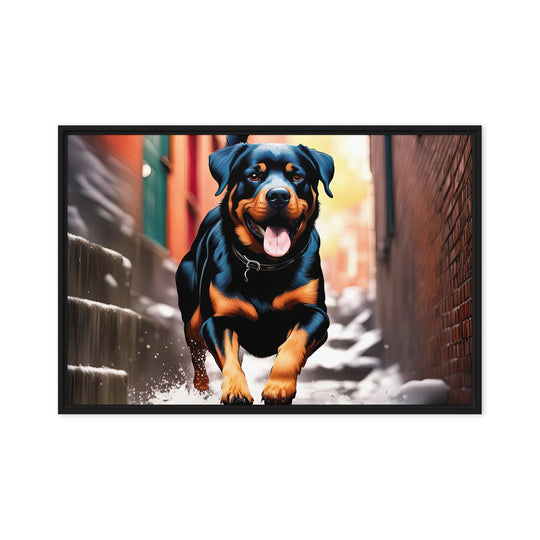 Rottweiler- Framed canvas v2