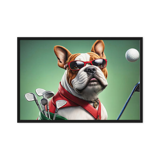 Bulldog Golfer- Framed canvas