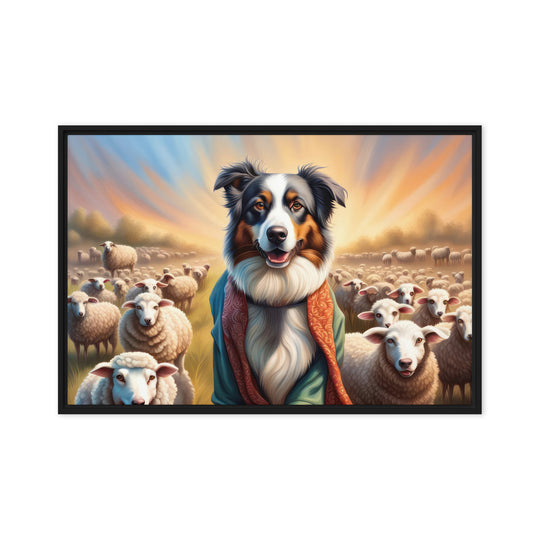 Australian Shepherd- Framed canvas