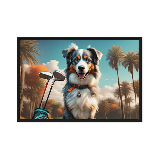 Australian Shepherd Golfer- Framed canvas v2