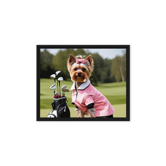 Yorkshire Terrier Golfer- Framed canvas v2