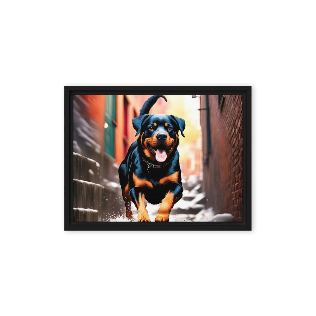 Rottweiler- Framed canvas v2